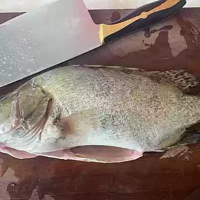 松鼠鳜鱼阵容(食物语松鼠鳜鱼最强阵容搭配)插图1