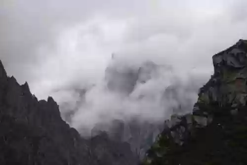 浓雾无尽阵容(浓雾生存模式最佳阵型)插图4
