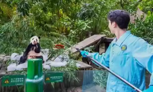 水枪阵容粉丝(小李子对玩水枪的回应)插图4