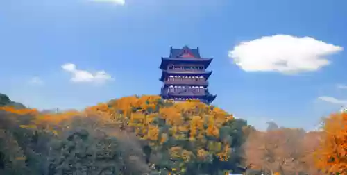 鄱阳阵容图(鄱阳县各个乡镇地图)插图9