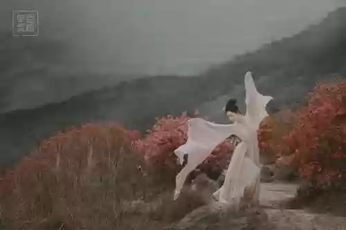 舞蹈阵容拍照(舞蹈集体照片摆pose图片)插图20