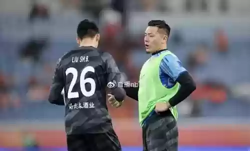 鲁能核心阵容(鲁能球员全部名单)插图8