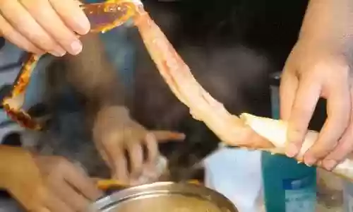 蟹气楼阵容(张角盾最强阵容搭配)插图9