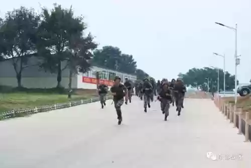 光明哨位阵容(光明哨兵阵容装备最新)插图8