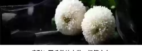 广州地铁阵容(广州地铁全部车型)插图3
