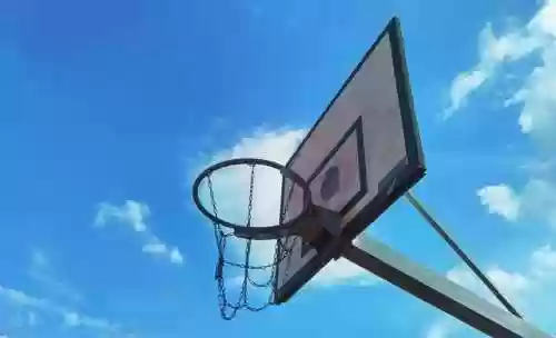 湖人队阵容 小说(主角在湖人队打球的NBA小说)插图2