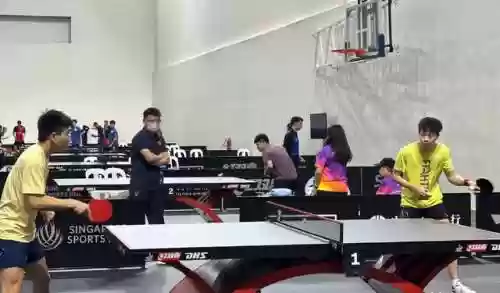 桂冠乐土阵容(上古王冠阵容搭配)插图10