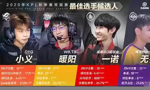 王者职业选手最佳阵容搭配