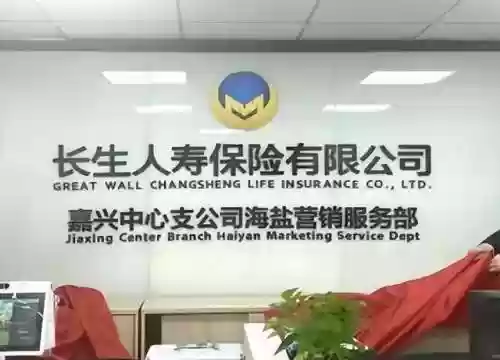 长生首席阵容(盗墓长生印第三章详细攻略)