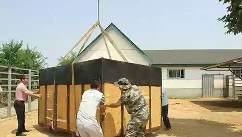 临沂斑马阵容(云顶之弈最新阵容人马)