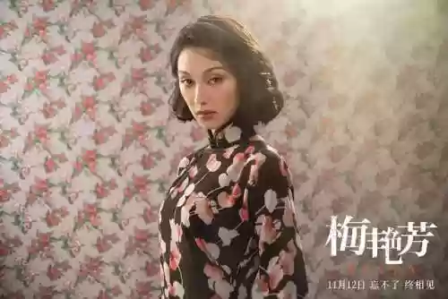 梅艳芳朋友阵容(梅艳芳男朋友是谁)插图8