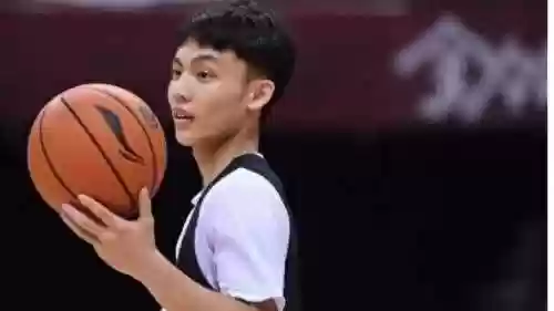 跳槽终极阵容(三国志最强阵容)