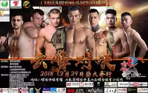 烟台谜底阵容(陷阵营最佳阵容)