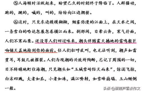 海潮试炼阵容(潮灵王国阵容搭配攻略)插图12