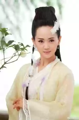 真相东宫阵容(真假东宫全集免费版)插图8