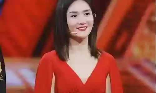 谢娜主持阵容搭配图