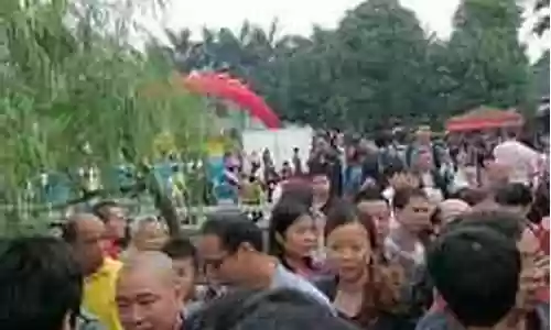 沙湾美食节阵容搭配
