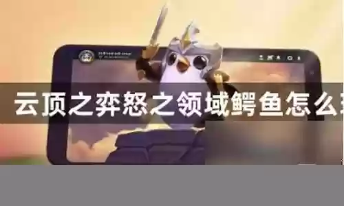 骑鳄鱼的阵容怎么搭配