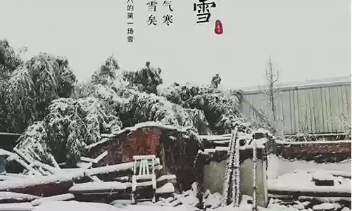 雪景幻影最强搭配什么阵容