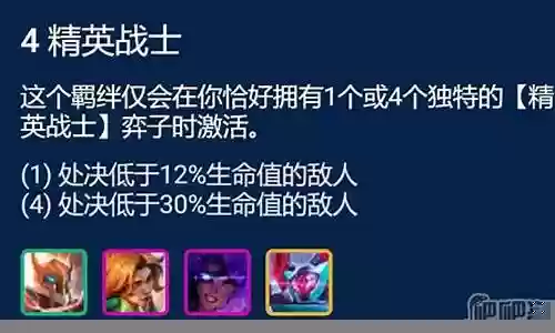 精英徽章阵容怎么搭配好