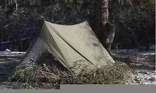 荒野召唤帐篷阵容搭配攻略