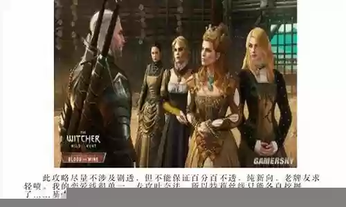 巫师3顺序新手阵容搭配