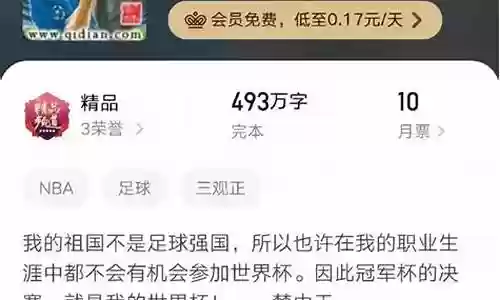 足球小说男主阵容搭配