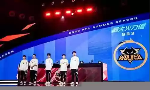 狼队新人阵容搭配