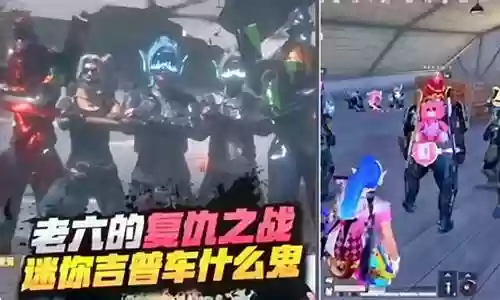 和平精英海岛最强阵容搭配