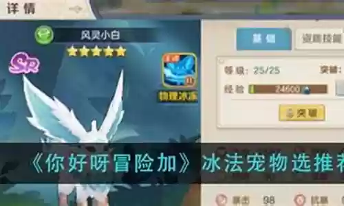 冰法宠物搭配推荐阵容