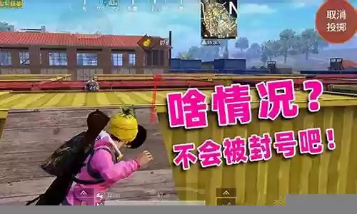 陈大白最强阵容搭配图