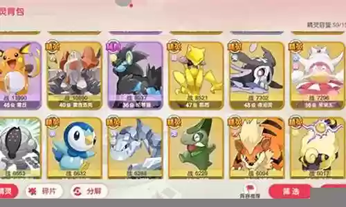 口袋觉醒小众阵容搭配攻略