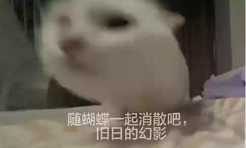 幻影米奇宝宝推荐阵容搭配