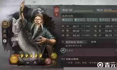 左慈搭配什么阵容好玩