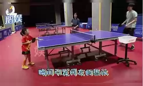 王楠女儿陪练阵容搭配