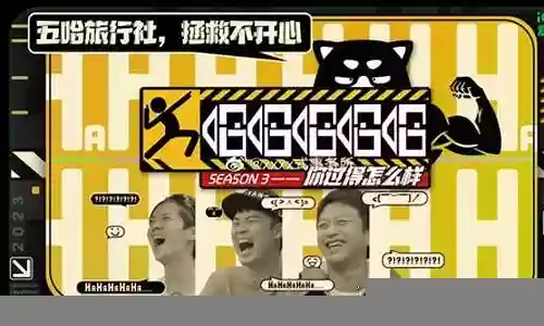 五哈最新阵容搭配图