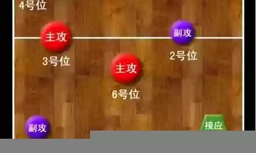 排球比赛首发阵容搭配