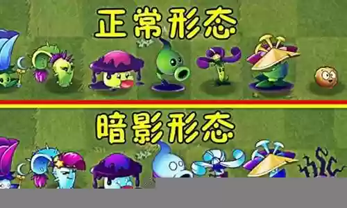 暗影植物阵容搭配图片最新