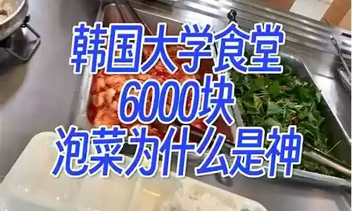 泡菜s3阵容搭配