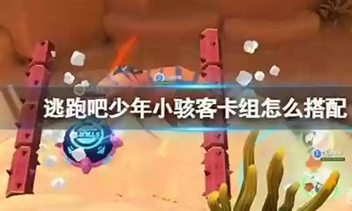 小骇客最佳搭配阵容推荐