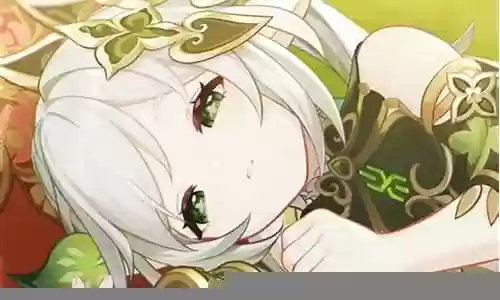 小草神萌新阵容搭配图