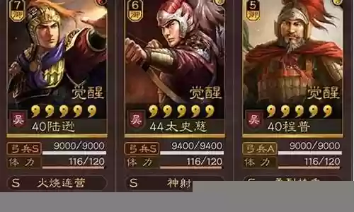 陆逊紫将阵容搭配