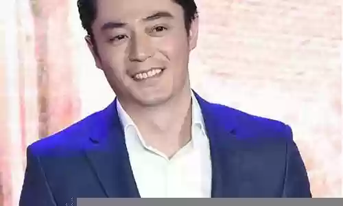 中年男明星阵容搭配图