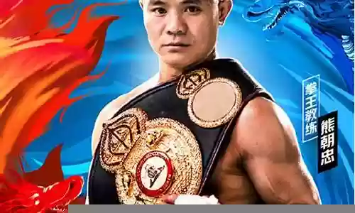 拳击明星阵容搭配图表