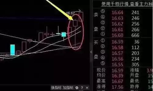 老鼠仓最佳战法搭配阵容