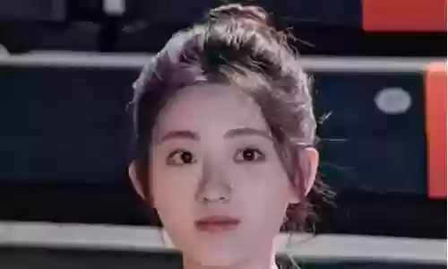 追爱家族阵容搭配推荐