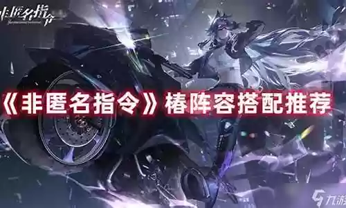 非匿名指令椿阵容搭配