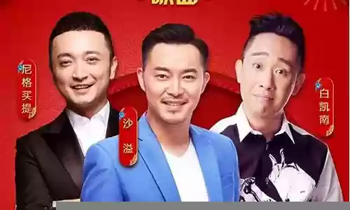 2019年新嘉宾阵容搭配