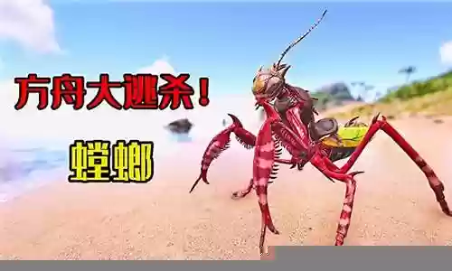 方舟大逃杀阵容搭配推荐