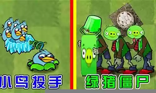 植物大战僵尸小鸟搭配阵容